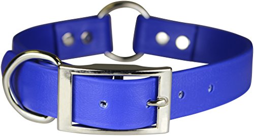 OmniPet Zeta Ring in Center with Dee Dog Collar, 3/4 x 16, Blue von OmniPet