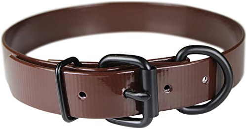 Omnipet Sunglo Dee vor Pet Halsband, 2,5 x 48,3 cm braun von OmniPet