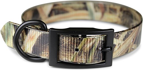 Omnipet Sunglo Dee vor Pet Halsband, 2,5 x 53,3 cm Mossy Oak Shadow Grass Klingen von OmniPet