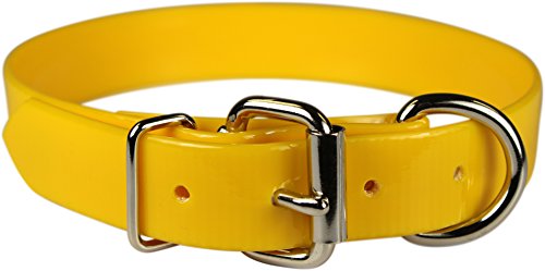 Omnipet Sunglo Dee vor Pet Halsband, 2,5 x 63,5 cm gelb von OmniPet