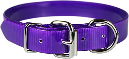 Omnipet Sunglo Dee vor Pet Halsband, 2,5 x 63,5 cm violett von OmniPet