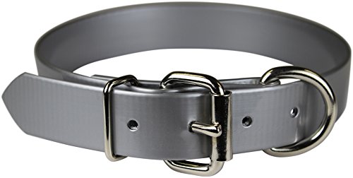 Omnipet Sunglo Dee vor Pet Halsband, 2,5 x 68,6 cm Silber von OmniPet