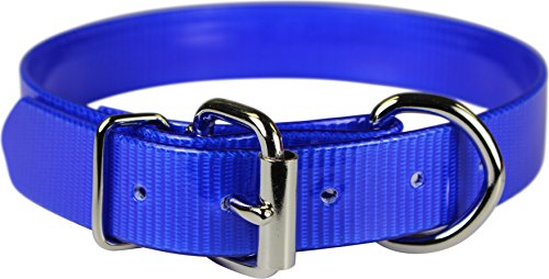 Omnipet Sunglo Dee vor Pet Halsband, 2,5 x 68,6 cm blau von OmniPet