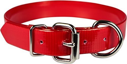 Omnipet Sunglo Dee vor Pet Halsband, 2,5 x 68,6 cm rot von OmniPet