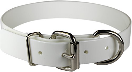 Omnipet Sunglo Dee vor Pet Halsband, 3/10,2 x 40,6 cm weiß von OmniPet