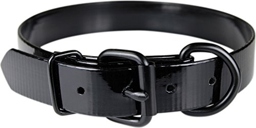 Omnipet Sunglo Pet Halsband, 2,5 x 58,4 cm schwarz, Dee von OmniPet