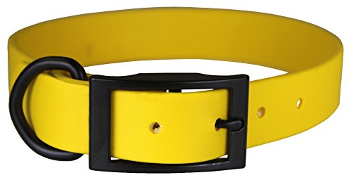 Omnipet Zeta Regular Hundehalsband mit Schwarz Metall Hardware, 3/10,2 x 45,7 cm gelb von OmniPet