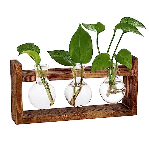 Ompinda Pflanzen-Liebhaber-Geschenke, Glas-Terrarium, Anzuchtstation, Hydrokultur, Pflanzen, Vase mit Holzständer für Zuhause/Büro, Dekoration (3 Glühbirnenbehälter) (rund) von Ompinda