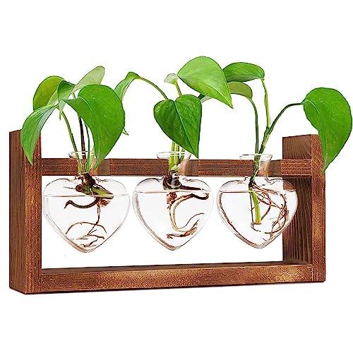 Ompinda Pflanzenliebhaber-Geschenke, Glas-Terrarium, Anzuchtstation, Hydrokultur, Pflanzen, Vase mit Holzständer für Zuhause/Büro, Dekoration (3 Glühbirnenbehälter) (Herz) von Ompinda