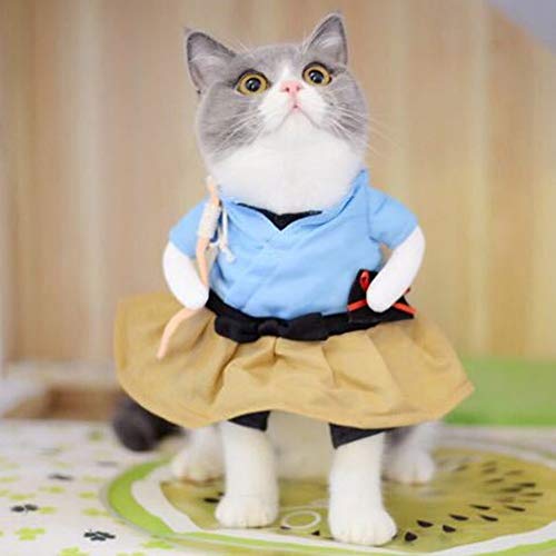 Lustiges Samurai-Haustierkostüm aus Polyester, Halloween-Party, Cosplay-Kleidung, für Hunde und Katzen (M) von Omquot