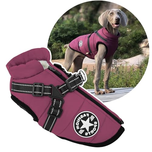 2-in-1 große Hundejacke mit Geschirr, Outdoor-Hunde-Sportweste, Geschirr, Outdoor, warmer Haustier-Wintermantel, Geschirr für große Hunde von Oncpcare