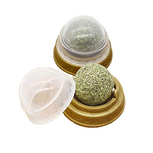 2er Pack Katzenminze Bälle, Pure Natural Mint Leaf Rotating Interactive Katzenspielzeug, Kitten Removal Hairball Spielzeug, Zahnreinigung Catmint Toy Play Chew von Oncpcare