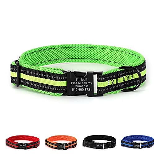 Oncpcare Personalisiertes Hundehalsband, gepolstertes Hundehalsband, individuelle Gravur mit Haustiernamen, reflektierend graviertes Hundehalsband von Oncpcare