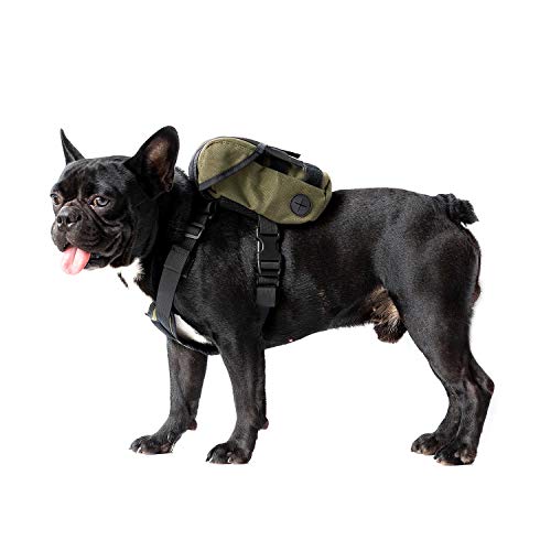 OneTigris Eureka Hunderucksack, Kleiner Hundebackpack mit Kotbeutelspender zum täglichen Wandern für kleine Hunde von OneTigris