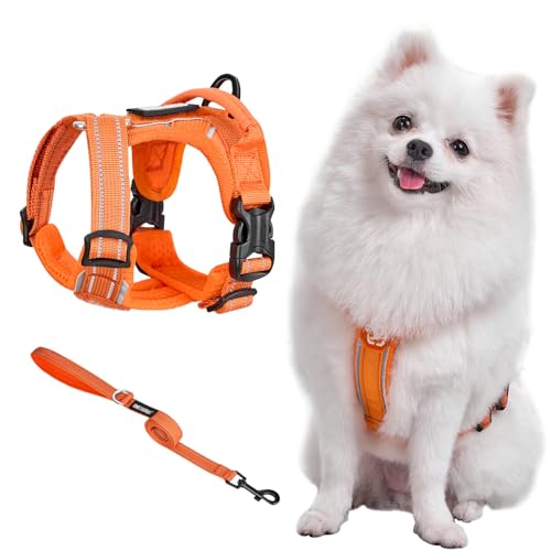 OneTigris Geschirr Set für Kleine Hunde, ANTZ Tactical Geschirre und Leine mit Lichtreflexband, Hundegeschirr mit Griff für Kleine, Mittelgroße Hunde wie Chihuahua, Yorkshire, Wiener Hund,Orange XS von OneTigris