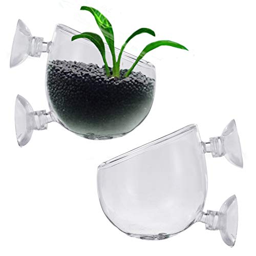 Oneroomone 2 Stück Aquarium Pflanzenhalter, Aquarium Pflanzenhalter mit Saugnapf, Aquarium Pflanzen Live Crystal Glass Cup, für Aquarium Aquarium Aquarium von Oneroomone