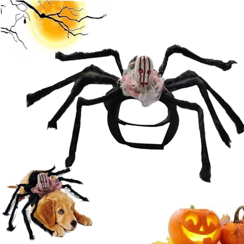 Onlvmyur Halloween Kostüme für Hunde Katze, Halloween Spinnenkostüm Hund Horror Haustierkostüm Lustiges Hundekostüm Halloween für Haustier Cosplay (schwarz M) von Onlvmyur