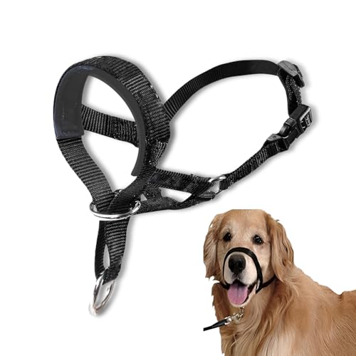 All-in-One-Halfter, Leine, Hundehalsband, mit gepolstertem Stoff, verstellbares Halfter für Hunde, professionelles Anti-Zieh-Halfter, verstellbar und leicht zu kontrollieren, Größe M, Schwarz von Onperpoe