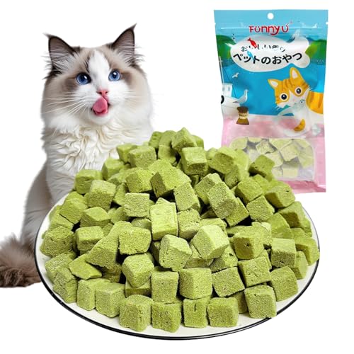 Onperpoe Katzengras Snack 40g Gefriergetrocknet Snacks Katzengras für Katzen Katzengraskörner Kauspielzeug Katze Zur Zahnpflege Zahnreiniger Haarballenentfernun Steigerung des Appetits von Onperpoe