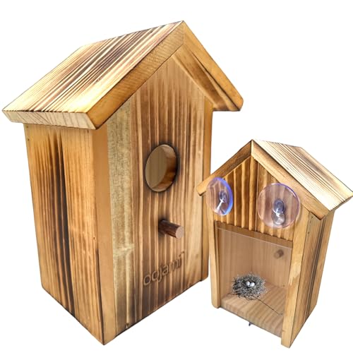 Oojami Fenster-Vogelhaus mit Saugnäpfen, transparentes durchsichtiges Holzdesign für Vogelbeobachtung, Kinder & Erwachsene (Braun) von Oojami