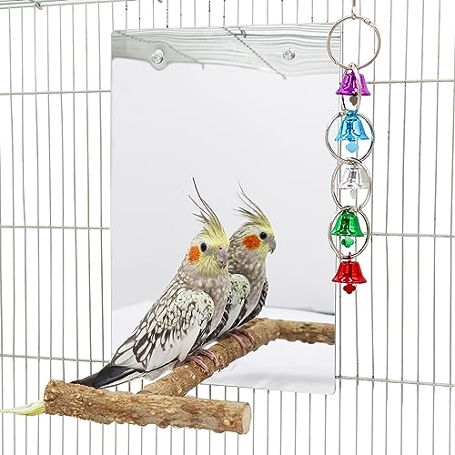 30 x 20 cm großer Vogelspiegel-Spielzeug mit Sitzstange, Papageien-Sittichspiegel mit Vogelschaukel-Glocke, Vogelkäfig-Zubehör, geeignet für Sittich, Nymphensittich, Sittich, Sittich, Sittich, von Oooct