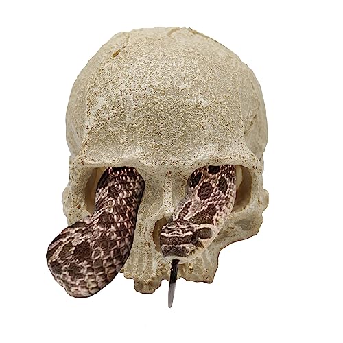 Snake Hideout, Reptile Aquarium Skull Decor, Resin Skeleton Head Fish Hide, Tank Terrarium Aquarium Zubehör, Reptilienhäute und Höhlen für Fische Bartdrachen Salamander Ball Python Leopard Gecko von Oooct