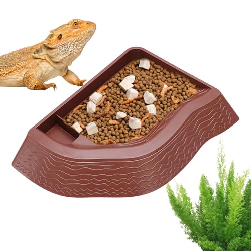 Opdestn Schildkröten Schale,Reptilien Badebecken Mit Sanfter Rampe Und rutschfest - Futter- Und Badeschale Für Terrarium Gehege Habitat Und Einweichen Opdestn Schildkröten Schale,Reptilien Badebecken Mit Sanfter Rampe Und rutschfest - Futter- Und Badeschale Für Terrarium Gehege Habitat Und Einweichen von Opdestn