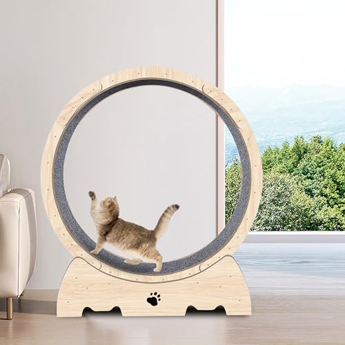 Opetdo Laufrad für Katzen, 93x 40x104cm Laufband für Katzen, Super Leises Haustier Katze Laufrad Spielzeug, Fitnessgerät zur Gewichtsabnahme, Sportspielzeug für Katzen, für EIN längeres Leben der Katz von Opetdo