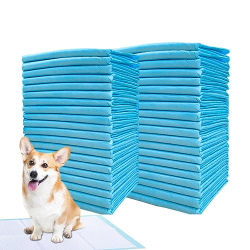 Hunde-Pipi-Pads, Töpfchen-Pads für Hunde | Töpfchen-Trainingsunterlagen für kleine Hunde,Super saugfähige Hunde- und Katzenwindel, Welpen-Haustier-Urin-Windelunterlage, Katzenstreu-Toiletten-Hundeprod von Opilroyn