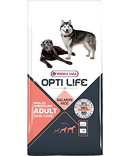 Opti Life Erwachsene Skin Care Medium und Maxi 1 kg – Monoprotein Lachs – ideal für mittelgroße und große Hunde über 10 kg Gewicht von Opti Life