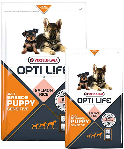 Opti Life Puppy Sensitives Mono-Protein Trockenfutter mit Lachs, für Welpen Aller Größen, 2,5 kg von Opti Life