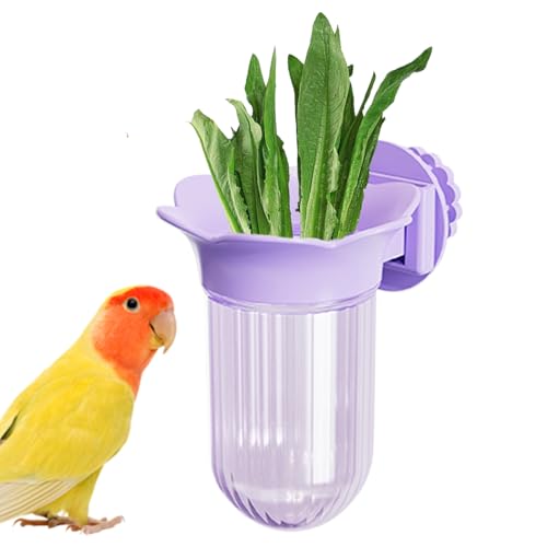 Vogelkäfig Bowls Feeding, U-Shape Clamp Cup Birds, Adjustable Wasser- und Lebensmittelbehälter, 3,9 x 3,23 x 2,2 Zoll, langlebiger Halter für Budgies, Cockatielle, Feinstlinge, kleine Pets Vogelkäfig Bowls Feeding, U-Shape Clamp Cup Birds, Adjustable Wasser- und Lebensmittelbehälter, 3,9 x 3,23 x 2,2 Zoll, langlebiger Halter für Budgies, Cockatielle, Feinstlinge, kleine Pets von Opvonxeh