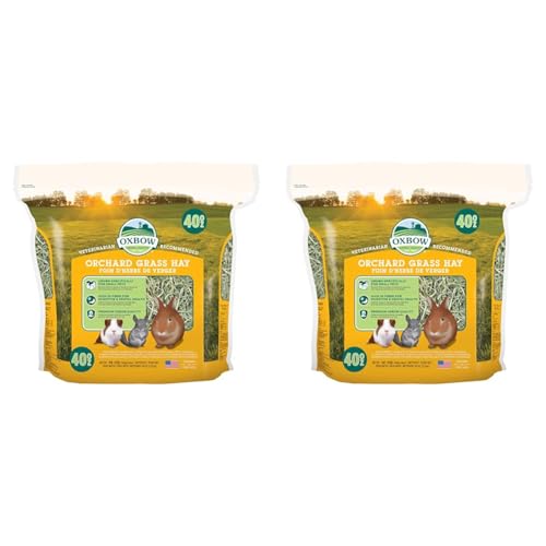 Petlife Oxbow Knaulgras-Heu für Kleintiere, 1,13 kg (Packung mit 2) von Orchard Grass