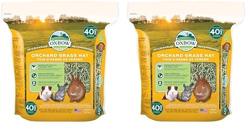 Petlife Oxbow Knaulgras-Heu für Kleintiere, 1,13 kg (Packung mit 2) von Orchard Grass