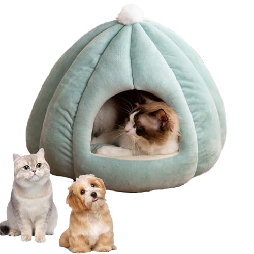 Ordaba Pumpkin Katzenbett, weich, waschbar, Kürbis-Katzenbett, 35/40/50 cm, halbgeschlossene Haustierhütte, niedliches Katzenbett, geeignet für Katzen und Hunde, 2,3–7,7 kg (Blau, L) von Ordaba