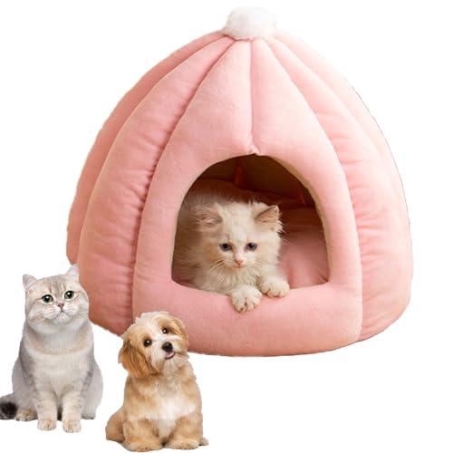 Ordaba Pumpkin Katzenbett, weich, waschbar, Kürbis-Katzenbett, 35/40/50 cm, halbgeschlossene Haustierhütte, niedliches Katzenbett, geeignet für Katzen und Hunde, 2,3–7,7 kg (Rosa, L) von Ordaba