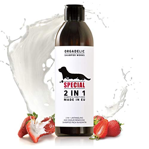 ORGADELIC Special 350ml Hundeshampoo, 2 in 1 mit Erdbeer- und Sahneduft. Einfaches Entwirren und Geruchsbeseitigung. Reich an KERATIN. von Orgadelic