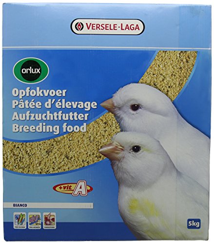 Orlux Bianco 4 x 1,25 kg von Orlux