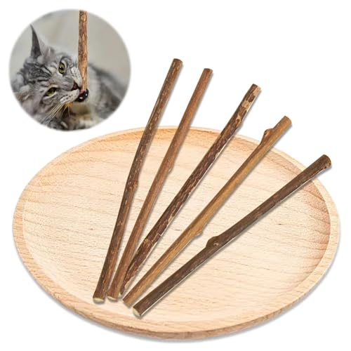 Ormromra 5 Stück Katzenminze Sticks, Katzen Kauhölzer Sticks, Katzen Sticks aus Holz, Kausticks als Katzenspielzeug, Katzensticks Kausticks Set für Katzen Zahnpflege&Gegen Mundgeruch von Ormromra