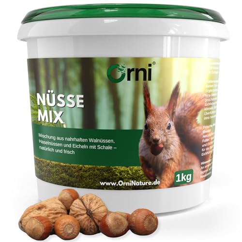 Orni Artgerechter Nüsse Mix für Eichhörnchenfutter 1kg | Futter für Eichhörnchen mit Haselnüsse, Walnüsse mit Schale für Eichhörnchen | Ganzjähriges Eichhörnchenfutter von Orni