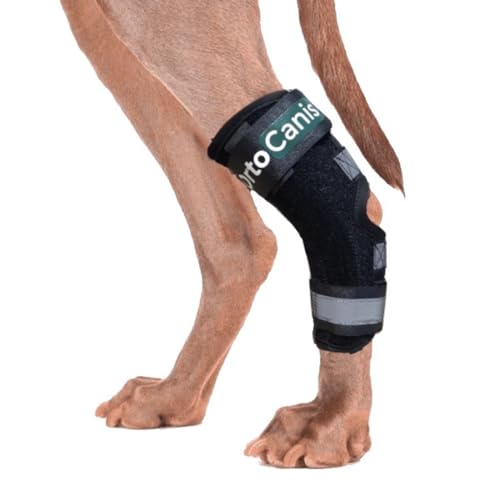 Ortocanis Fußwurzelbandagen für Hunde mit Schienen - immobilisiert, schützt, stützt das Sprunggelenk - herausnehmbare Flexible Schienen. von Ortocanis