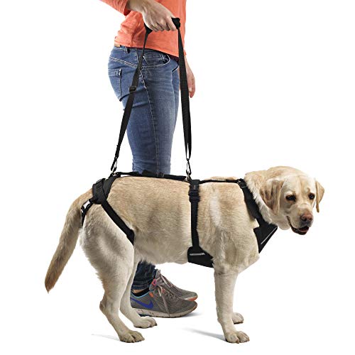 Ortocanis - Ganzkörper-Hundegeschirr zur Unterstützung von Vorder- und Hinterbeine, Größe M von Ortocanis