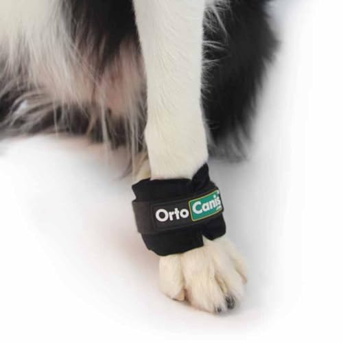 Ortocanis Gewichtsmanschette zum Muskelaufbau bei Hunden - M von Ortocanis