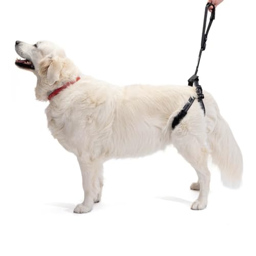 Ortocanis - Hebegurt für Hunde mit eingeschränkter Mobilität, Einheitsgröße (für Hunde von 4 bis 55 kg) von Ortocanis