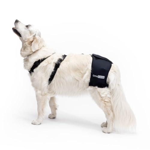 Ortocanis - Hüftorthese für Hunde - Hüftdysplasie, Hüftschmerzen oder Lokalisierten Arthrose - Stabilisiert und Lindert Schmerzen - Hergestellt aus German ARD-Neopren - Größe XXS 33-45 cm von Ortocanis