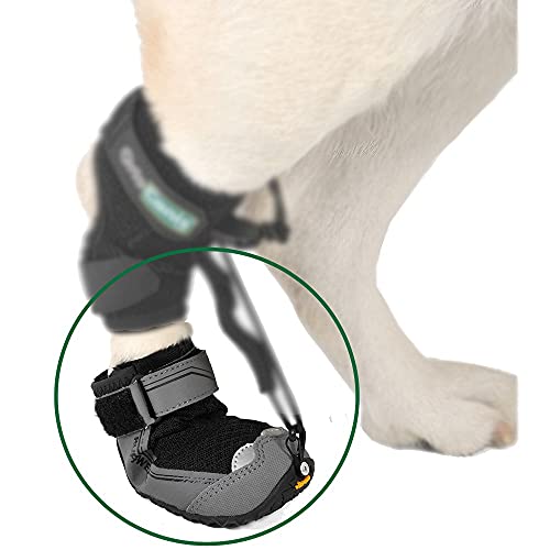 Ortocanis Hundeschuh zur propriozeptiven Korrektur - Knöchelschutzschuh für Hund - nur 1 Schuh - propriozeptiver Korrektor Nicht enthalten von Ortocanis