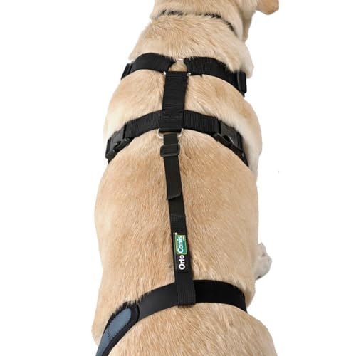 Ortocanis Lendenwirbelstütze für Hundeknieorthese, nur Gurt - Hundesicherheitsgeschirr (Einzelgurt, Größe S) von Ortocanis