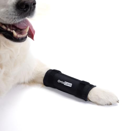 Ortocanis - Karpal-Bandage für Hund - Karpalstütze mit Immobilisierungsschienen bei Instabilität, Arthrose oder Hyperextension - Stabilisiert und lindert Schmerzen - Größe XS 0-6 cm von Ortocanis