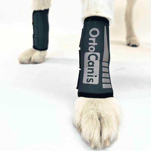 Ortocanis - Karpalgelenk-Bandage für Hund - Arthrose, Bänder- und Sehnenverletzungen oder Agility-Hunde - Hergestellt aus Neopren ARD - Größe L 17-19 cm von Ortocanis