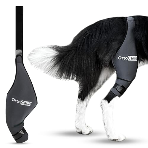 Ortocanis Kniebandage Hund Hinterbein Linkes Bein Größe XL - Bandage Hund Hinterbein mit Kreuzbandverletzungen, Patellaluxation oder Arthrose von Ortocanis
